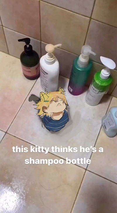 这只猫以为自己是一瓶沐浴露🧴